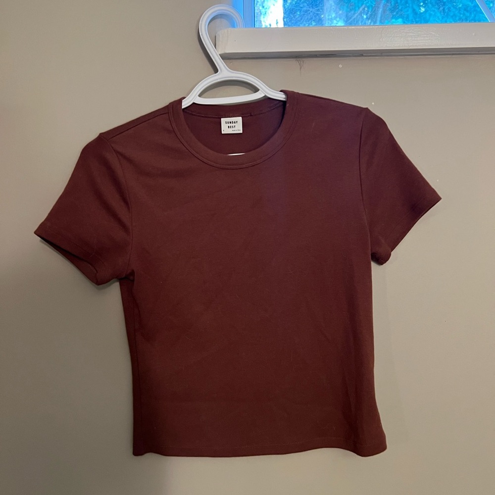 Aritzia Sunday best little ribbed tee